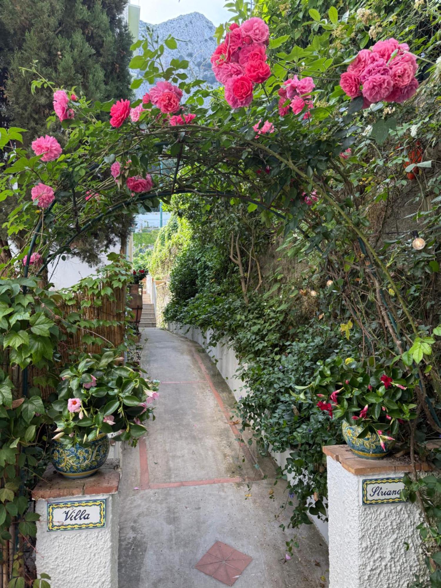 Villa Striano Boutique Capri Bagian luar foto